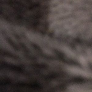 Meet your Posher, Roberto